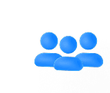 Customization Minimizing Audit Requirements